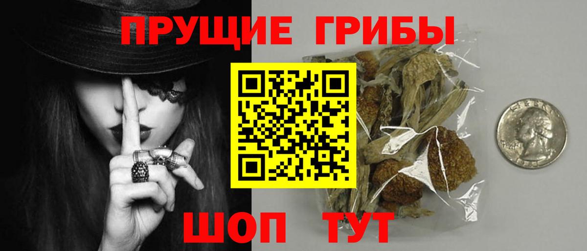 Псилоцибиновые грибы ЛСД Сланцы